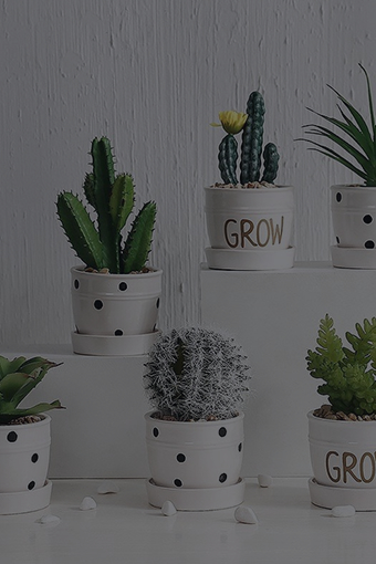 Chậu Để Bàn Mini