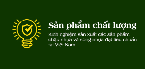 Ảnh 3