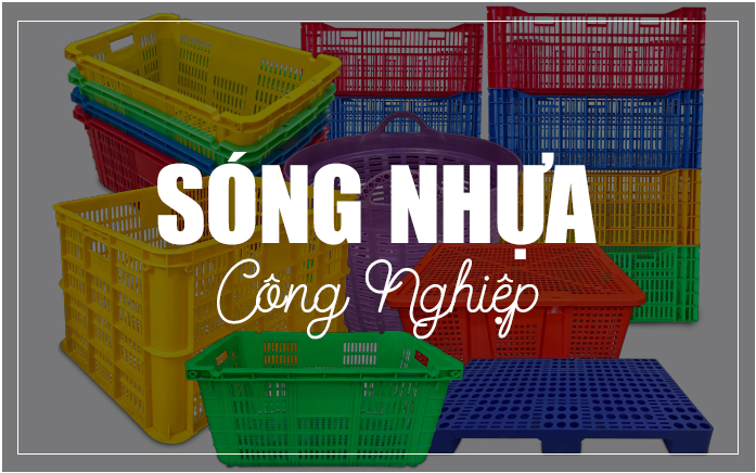 Ảnh 2